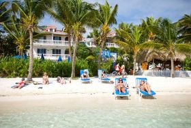 trees in Ambergris Caye – Best Places In The World To Retire – International Living